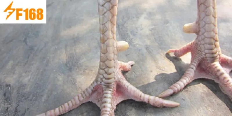 ลักษณะเด่นของเกล็ดหายากชนิดนี้